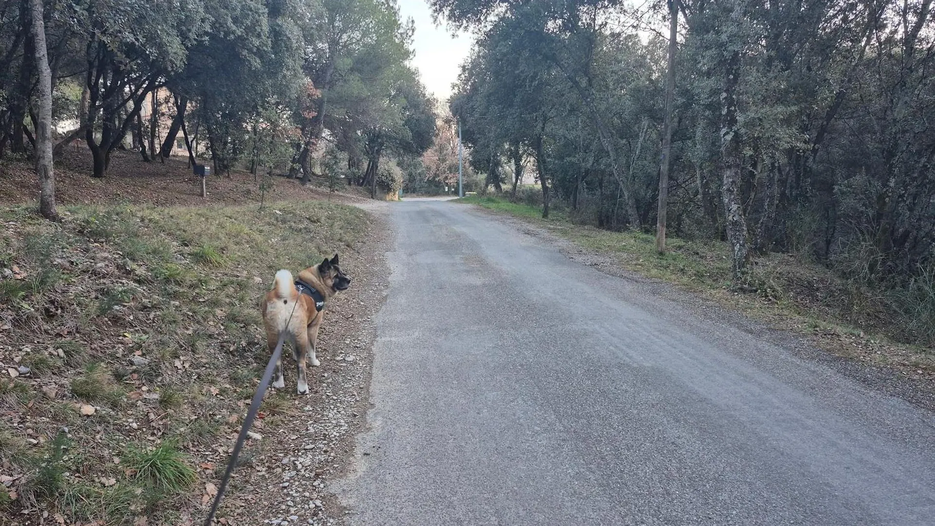 La Dindoulette A Partir De 3 Jours Et Plus Sans Piscine Pour 6 Personnes Personnes Villeneuve  0*, Villeneuve (Alpes-de-Haute-Provence) France