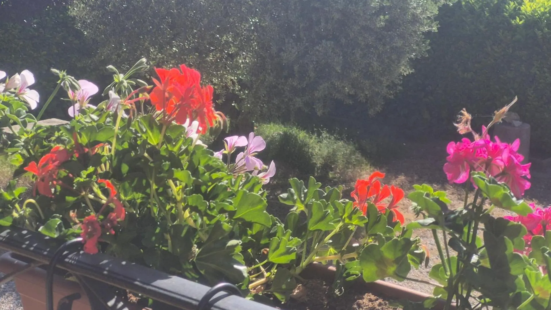 La Dindoulette A Partir De 3 Jours Et Plus Sans Piscine Pour 6 Personnes Personnes Villeneuve  0*, Villeneuve (Alpes-de-Haute-Provence)
